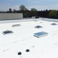 TPO vs EPDM vs Modified Bitumen: Flat Roof Options Compared